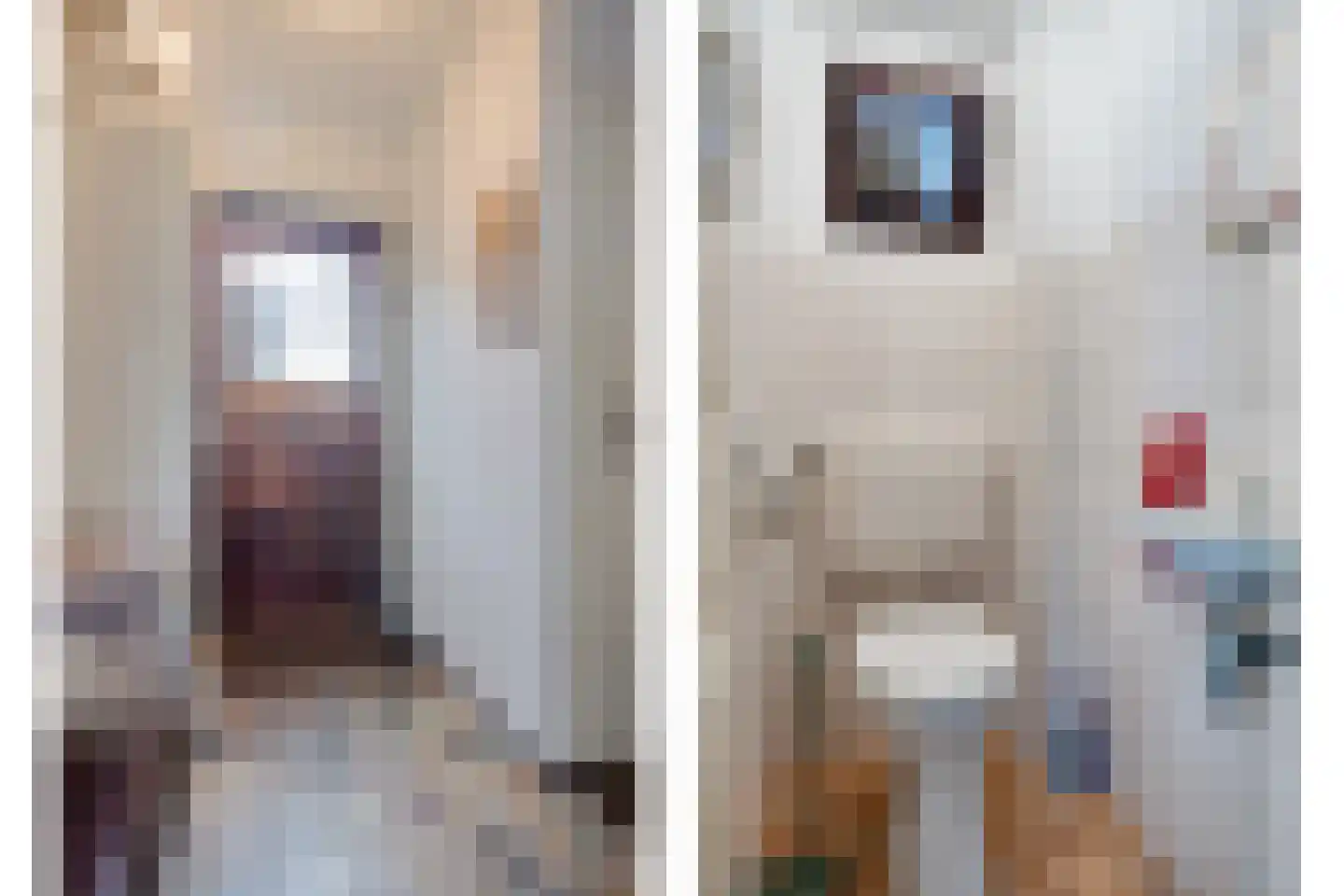 Bessegaard 7 Zwaag thumbnail 7