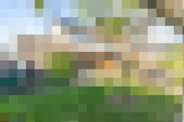 Bessel van Butselerlaan 10 Hoevelaken foto 2