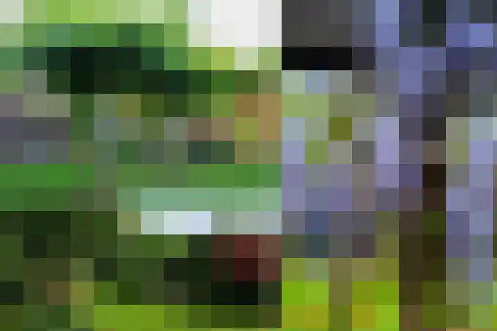 Bessel van Butselerlaan 10 Hoevelaken thumbnail 22