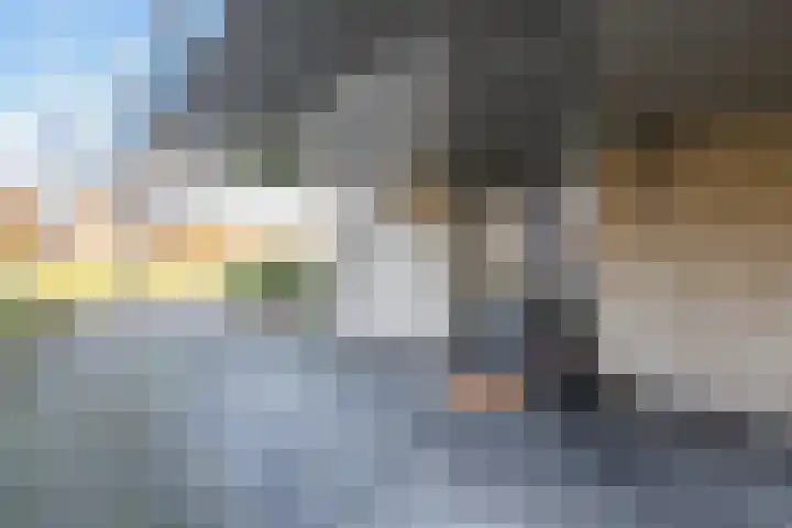 Bessel van Butselerlaan 10 Hoevelaken thumbnail 7