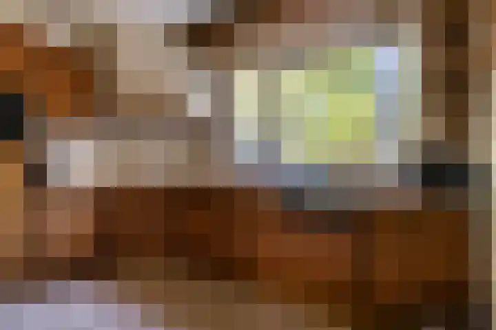 Besselaar 13 A Gemonde thumbnail 11