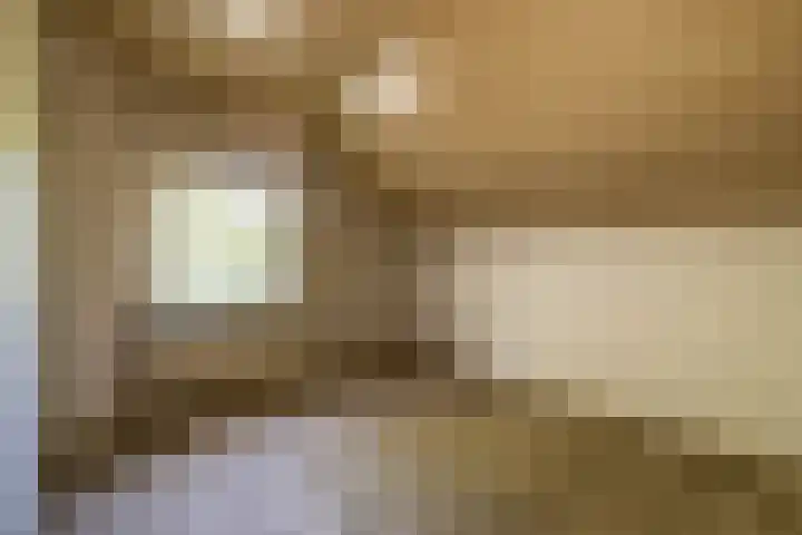 Besselaar 13 A Gemonde thumbnail 20