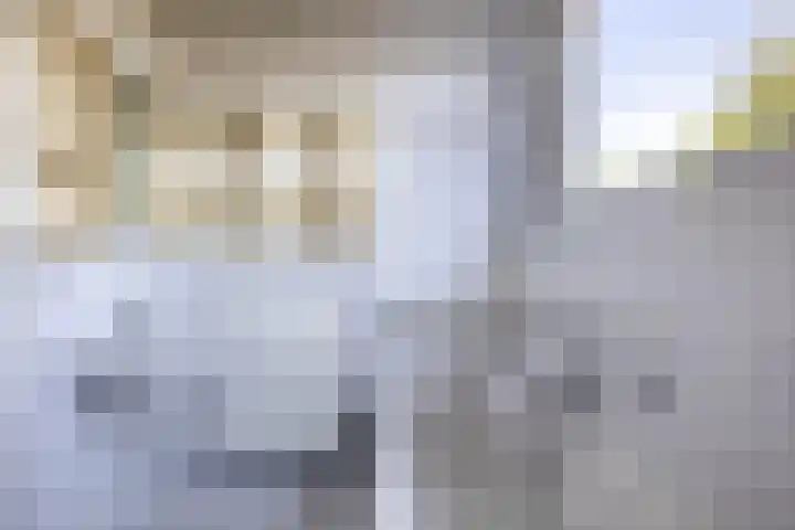 Besselaar 13 A Gemonde thumbnail 22