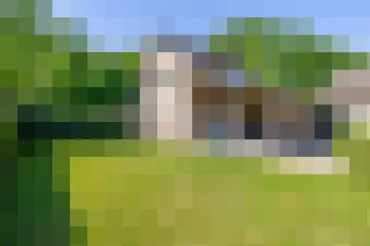 Besselaar 13 A Gemonde thumbnail 25