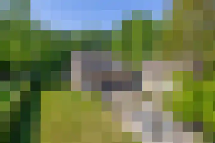 Besselaar 13 A Gemonde thumbnail 26