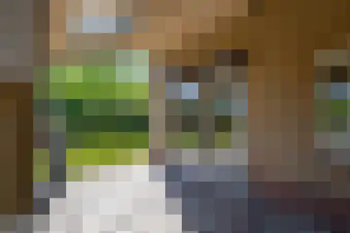 Besselaar 13 A Gemonde thumbnail 30
