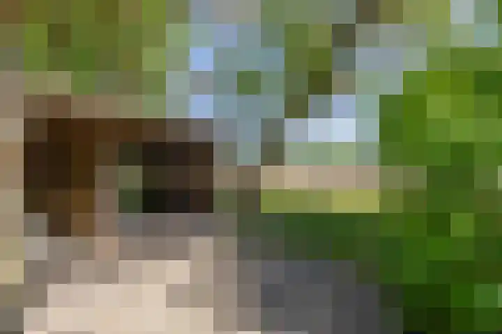 Besselaar 13 A Gemonde thumbnail 33