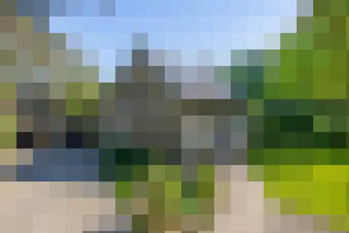 Besselaar 13 A Gemonde thumbnail 39