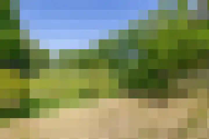 Besselaar 13 A Gemonde thumbnail 41