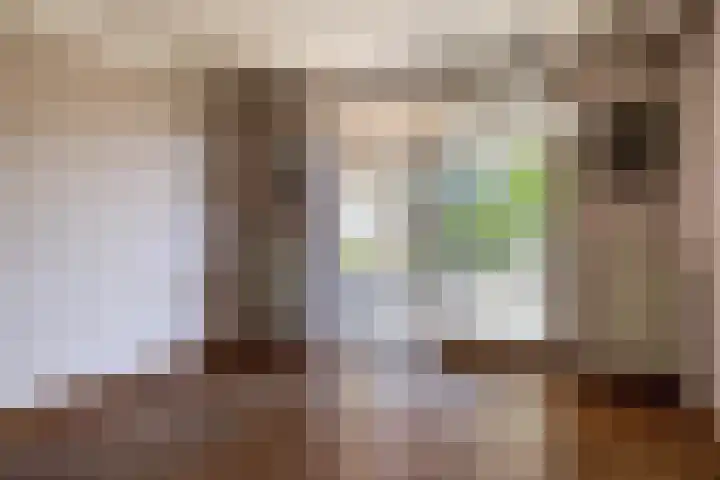Besselaar 13 A Gemonde thumbnail 9