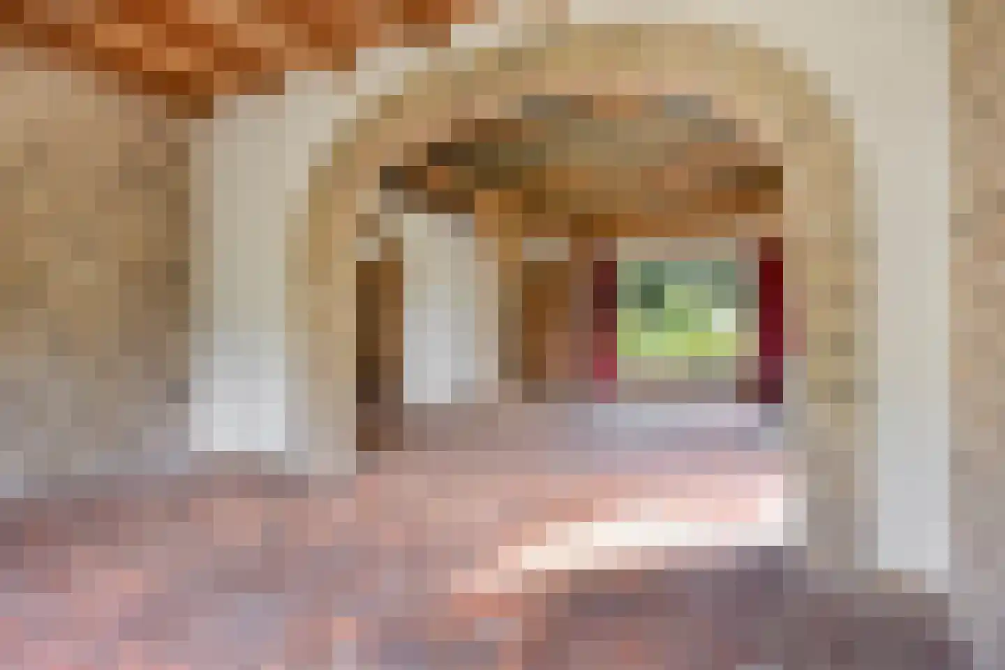 Besselaar 4 Gemonde thumbnail 10