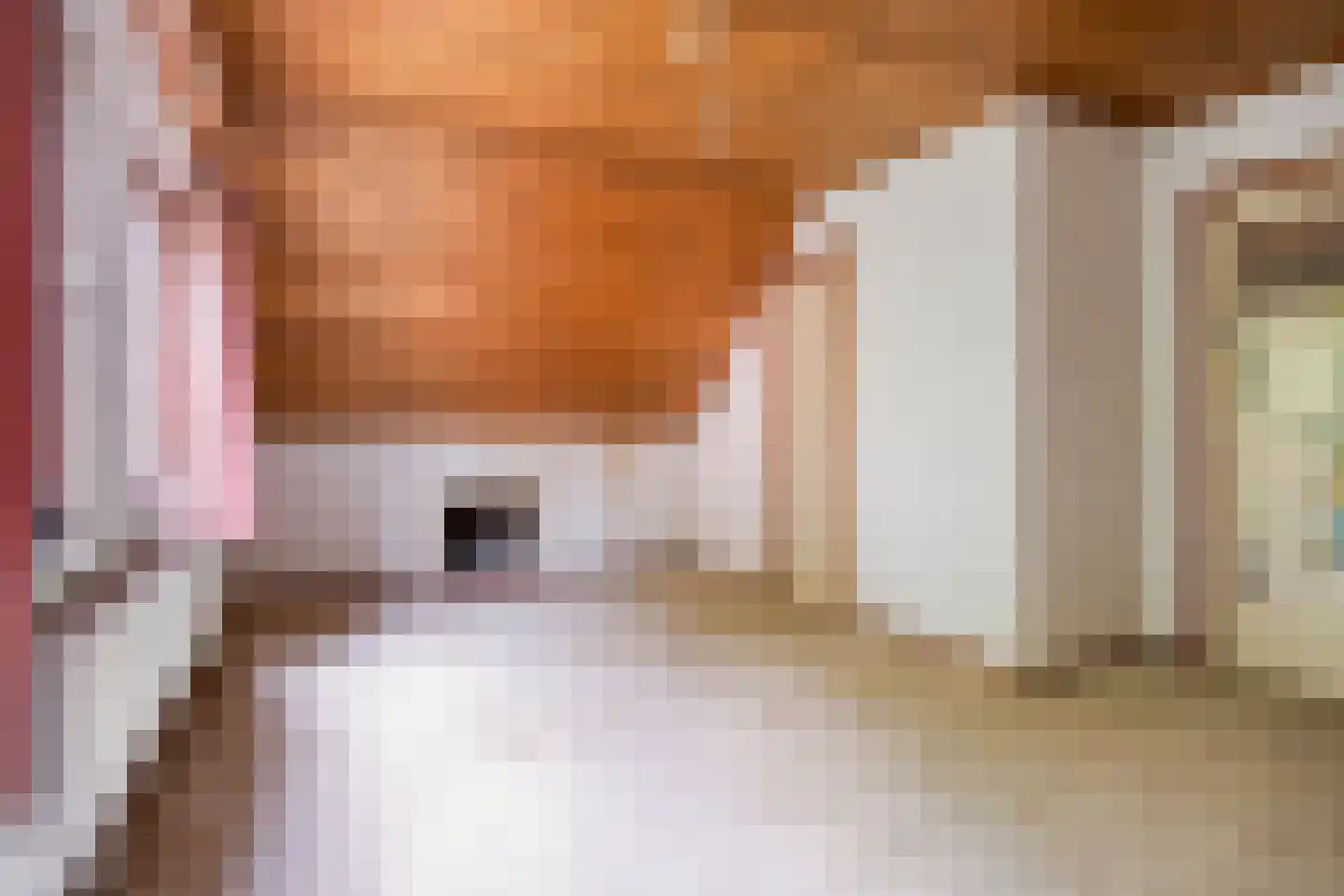 Besselaar 4 Gemonde thumbnail 27
