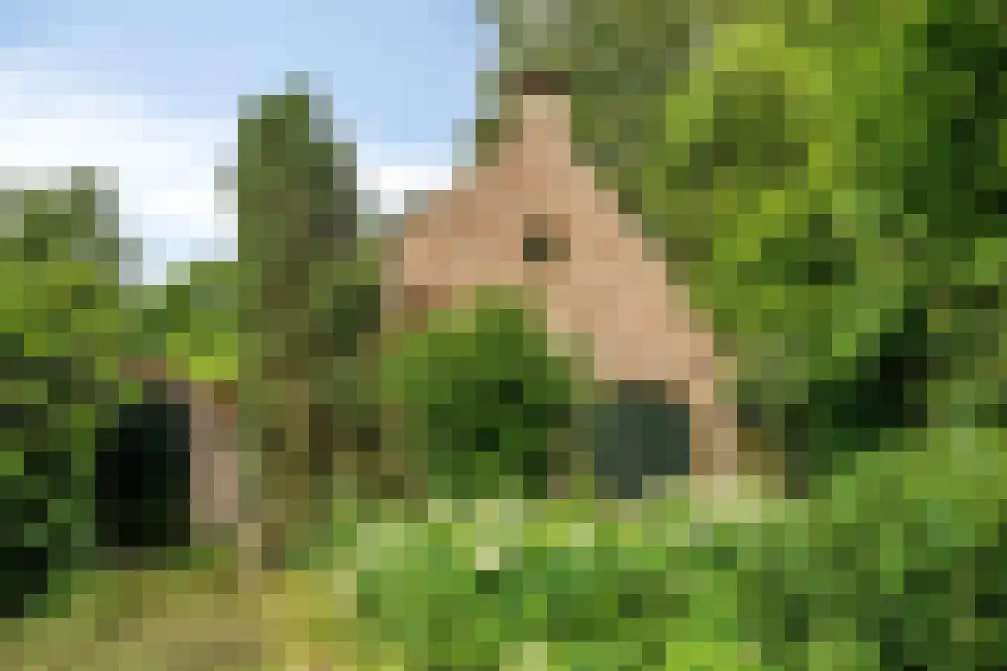 Besselaar 4 Gemonde thumbnail 32