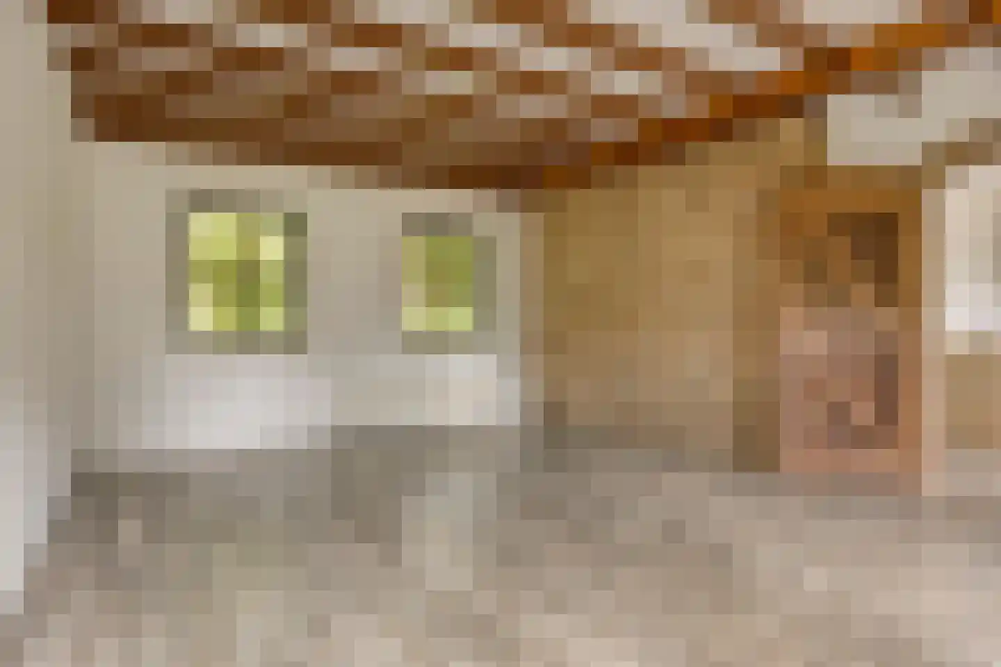 Besselaar 4 Gemonde thumbnail 34