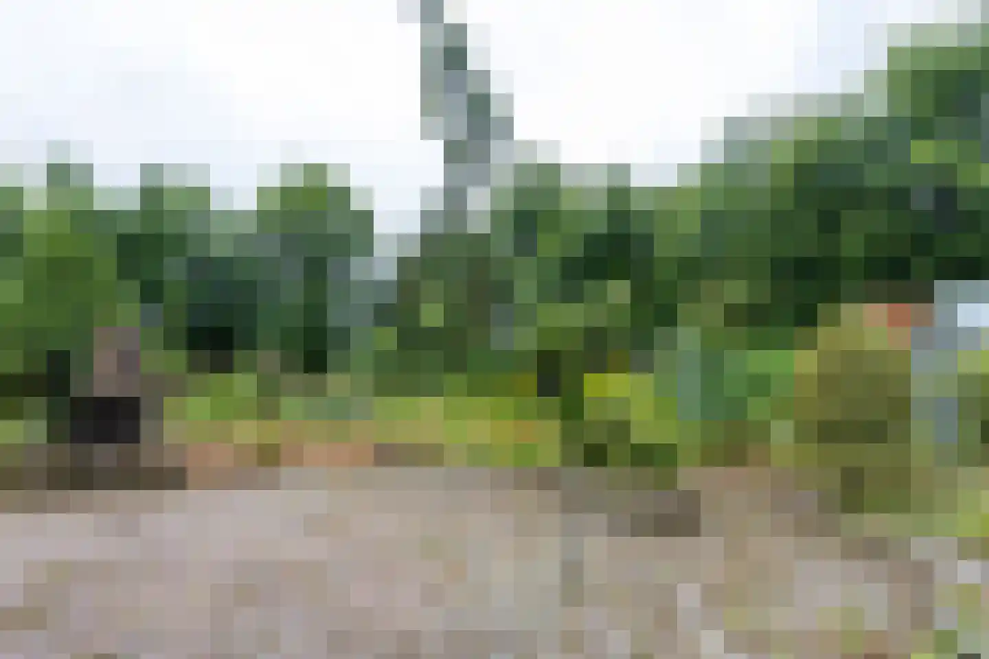 Besselaar 4 Gemonde thumbnail 45