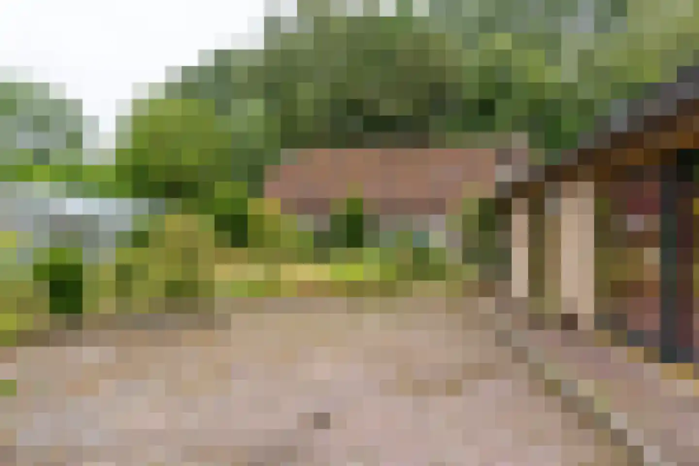 Besselaar 4 Gemonde thumbnail 46