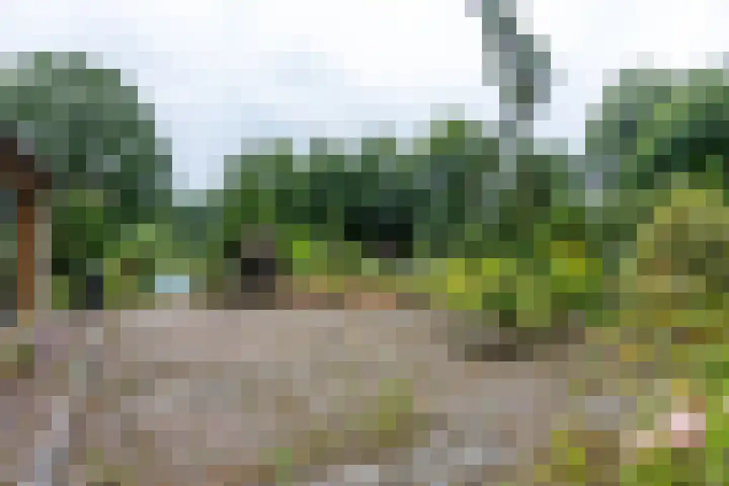 Besselaar 4 Gemonde thumbnail 48