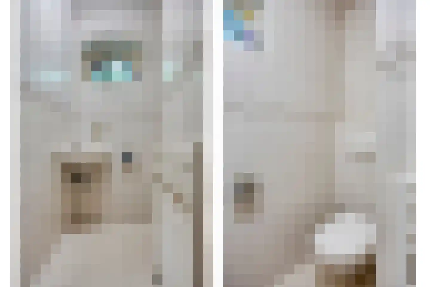 Besselaar 4 Gemonde thumbnail 5