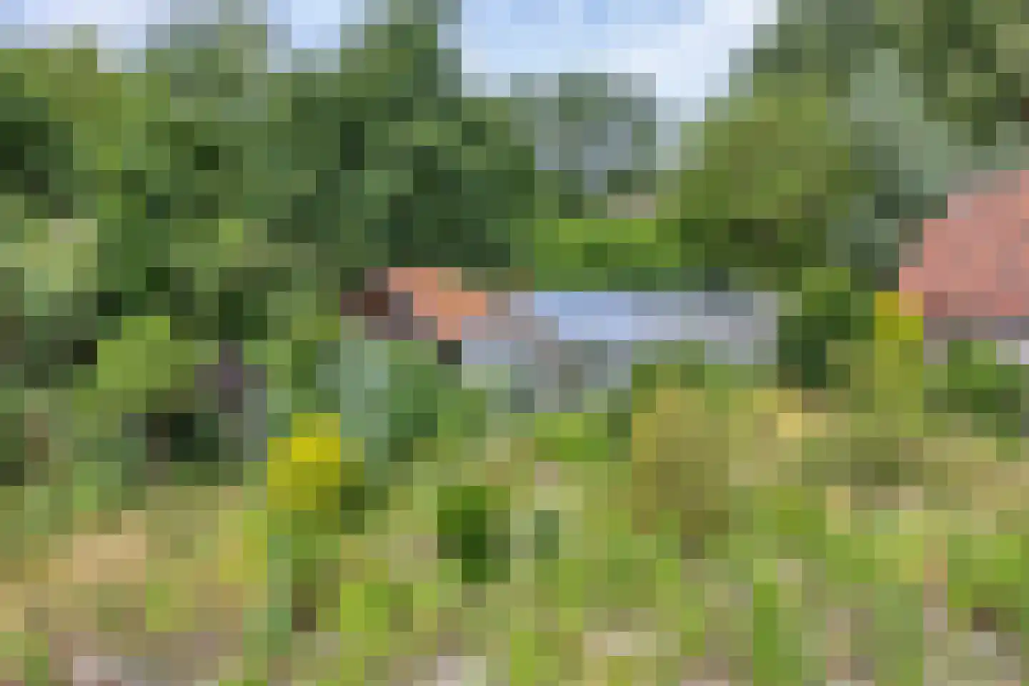 Besselaar 4 Gemonde thumbnail 50