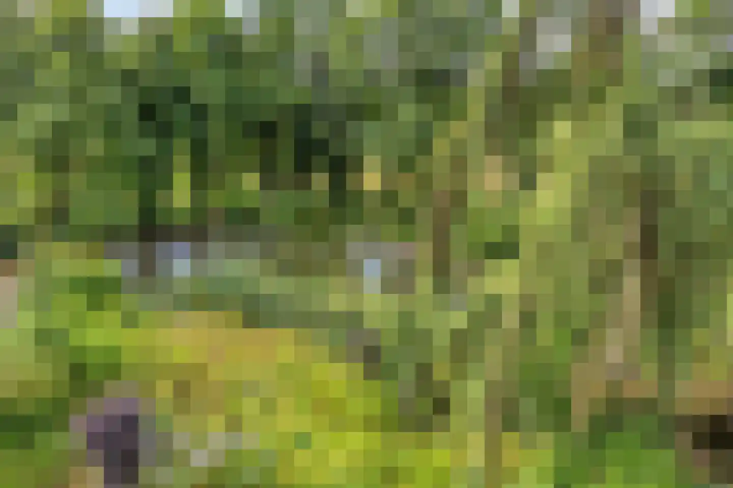 Besselaar 4 Gemonde thumbnail 51