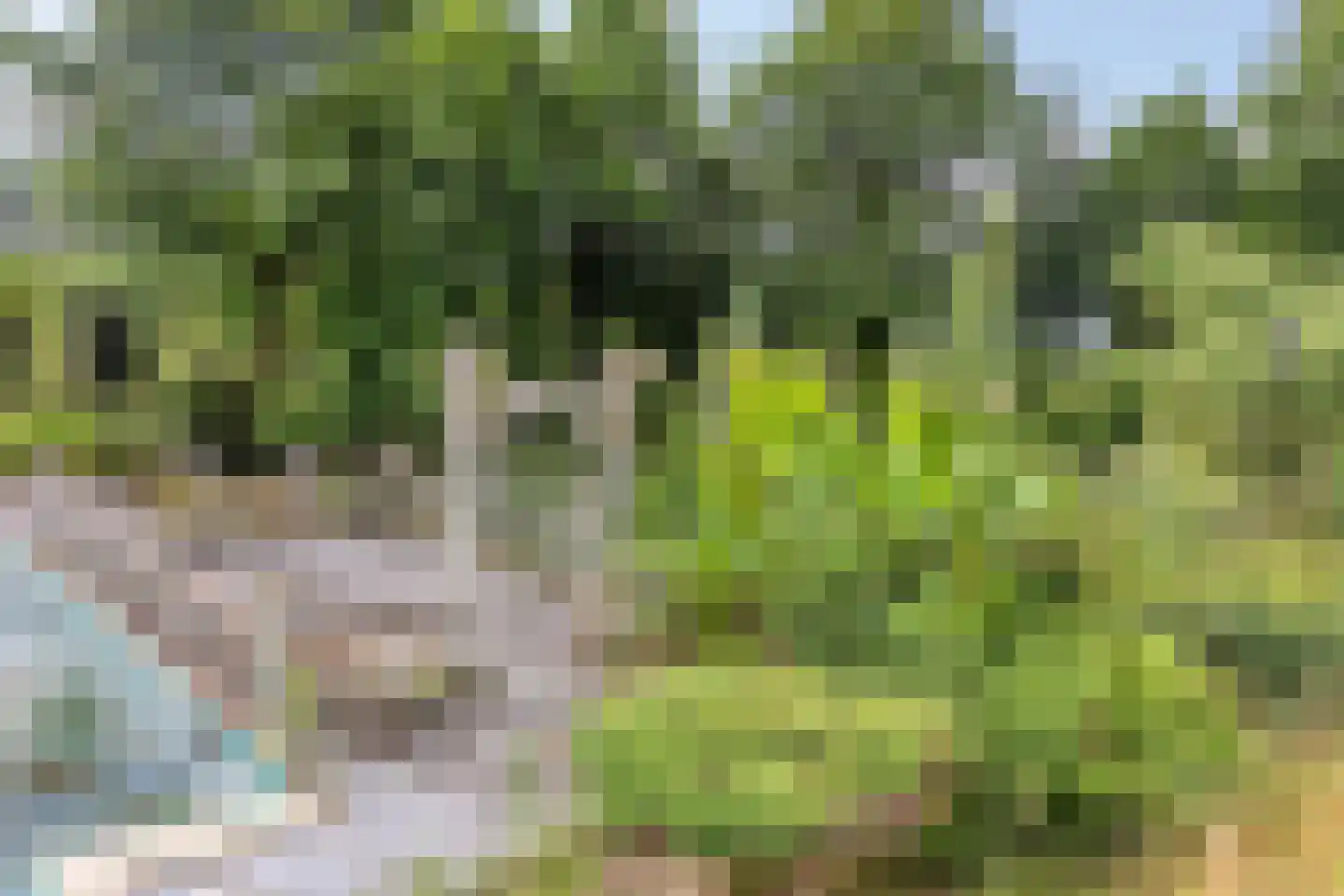 Besselaar 4 Gemonde thumbnail 52