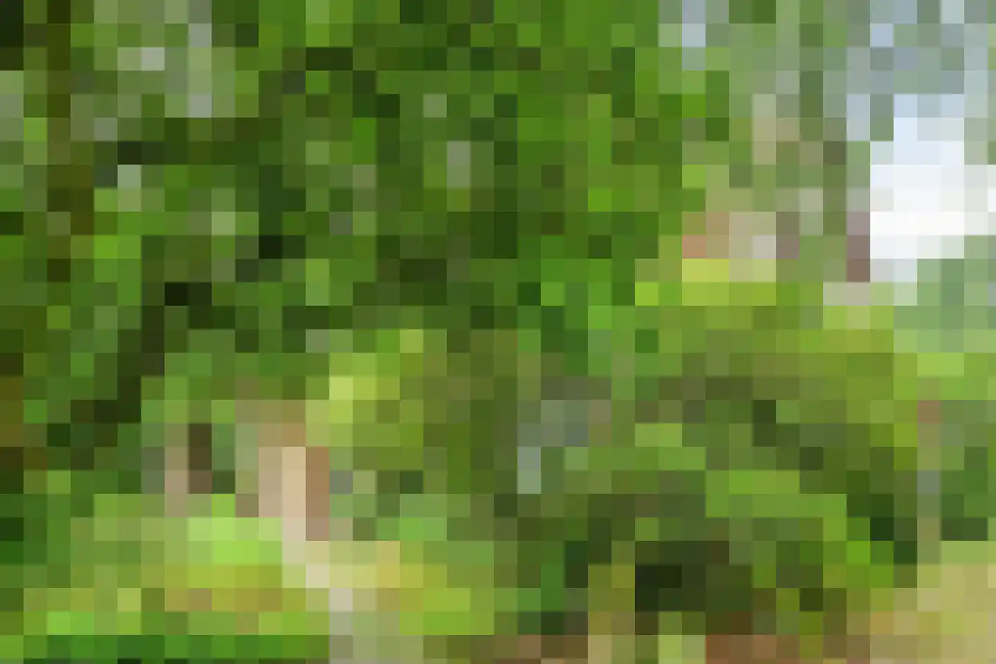 Besselaar 4 Gemonde thumbnail 54