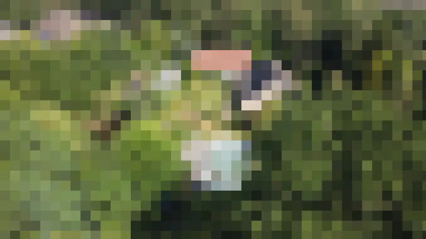 Besselaar 4 Gemonde thumbnail 56