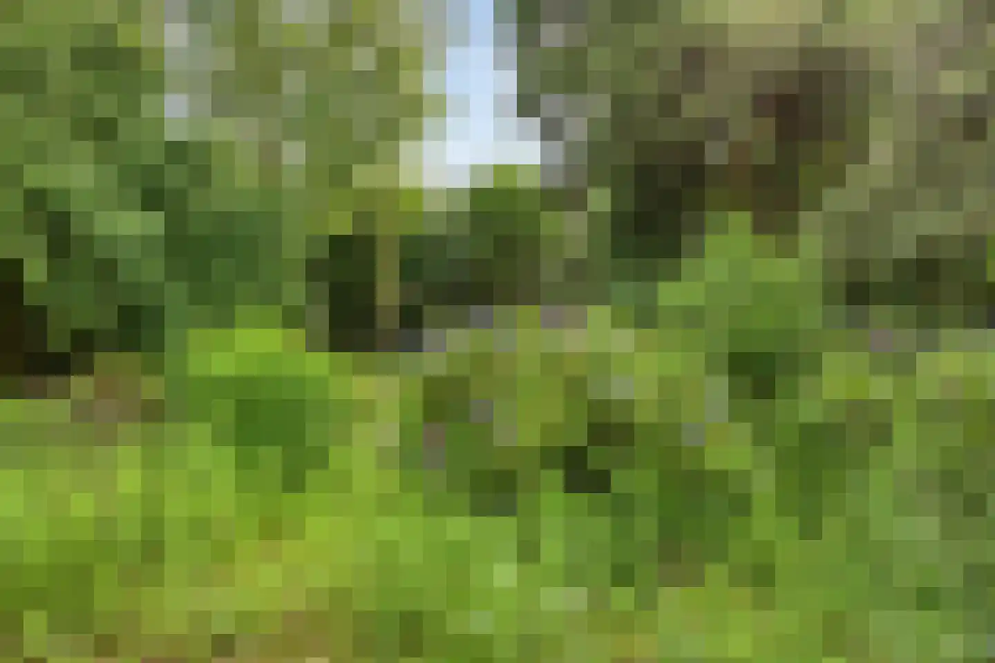Besselaar 4 Gemonde thumbnail 59