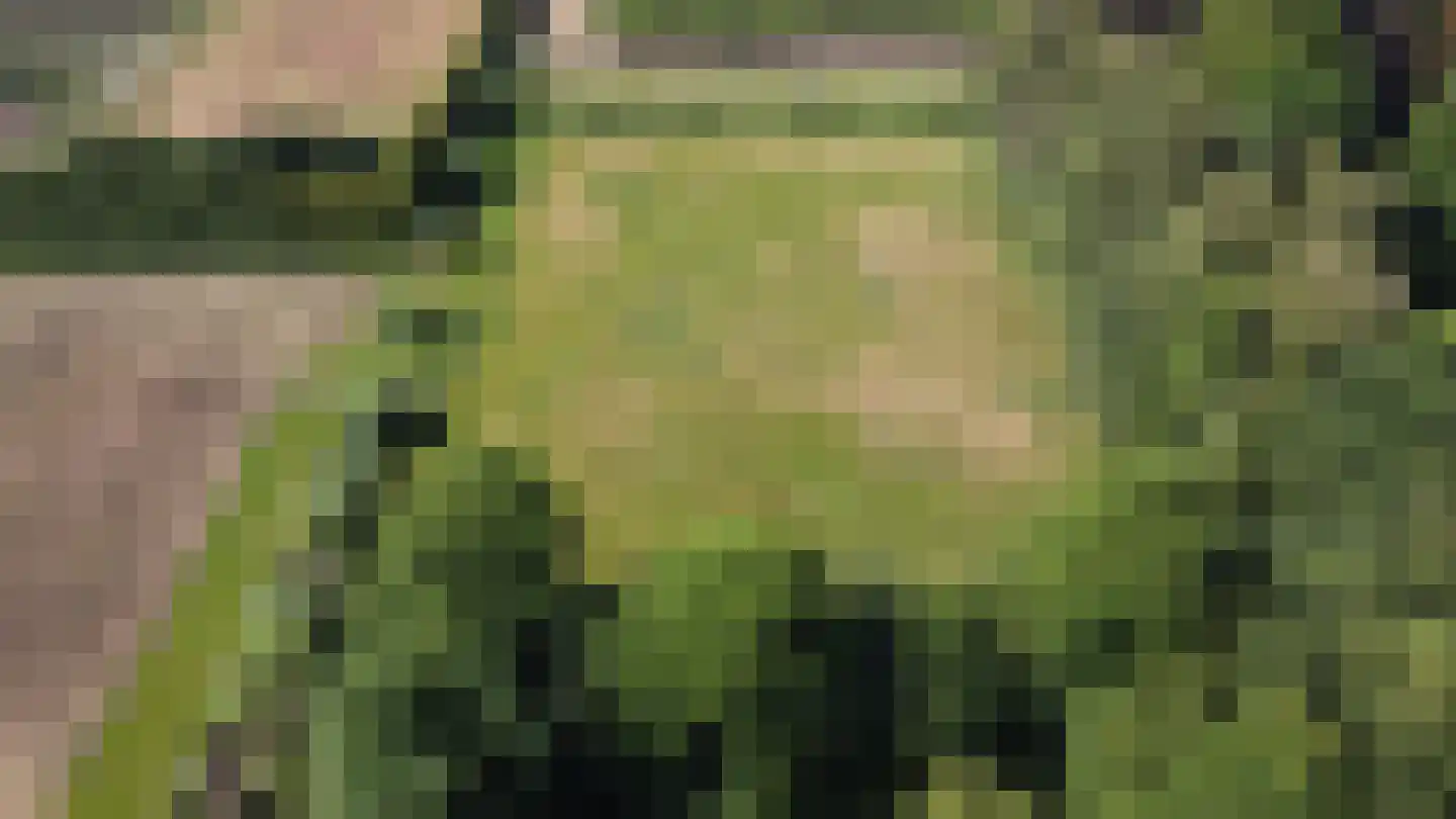 Besselaar 4 Gemonde thumbnail 60