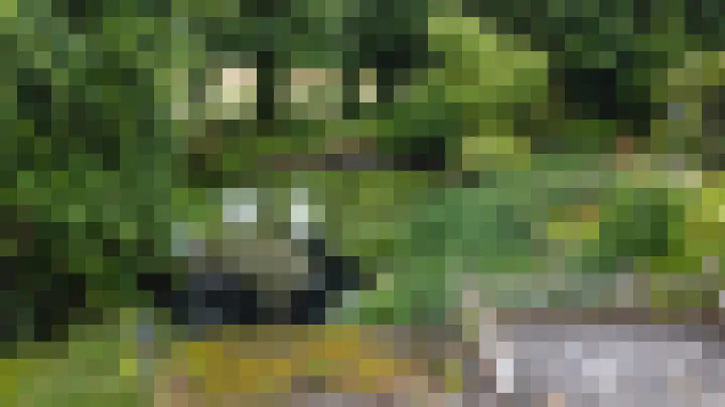 Besselaar 4 Gemonde thumbnail 61