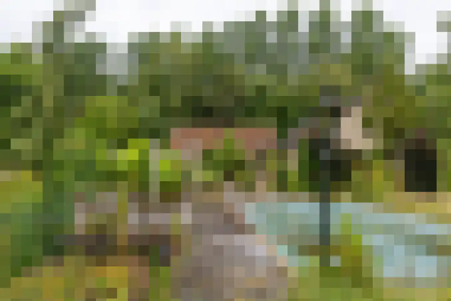 Besselaar 4 Gemonde thumbnail 62