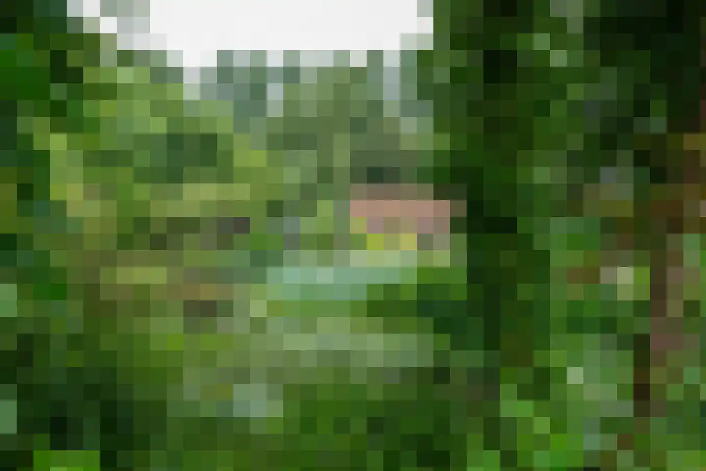 Besselaar 4 Gemonde thumbnail 63