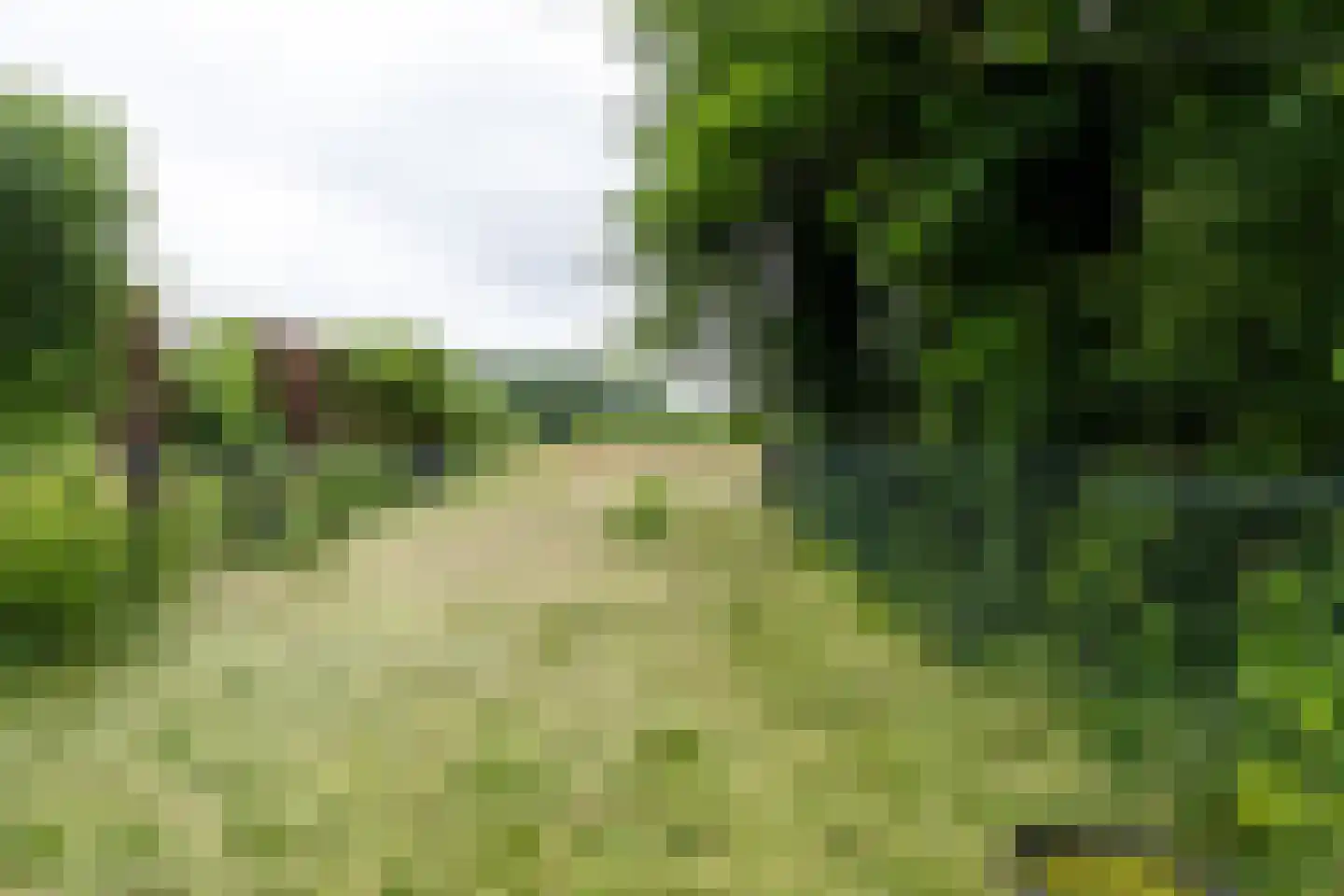 Besselaar 4 Gemonde thumbnail 64