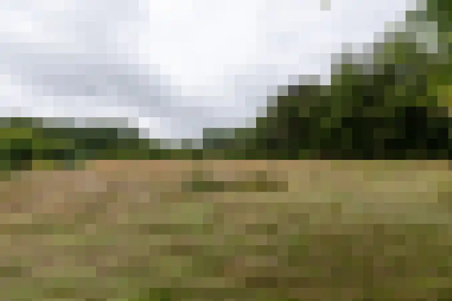 Besselaar 4 Gemonde thumbnail 65