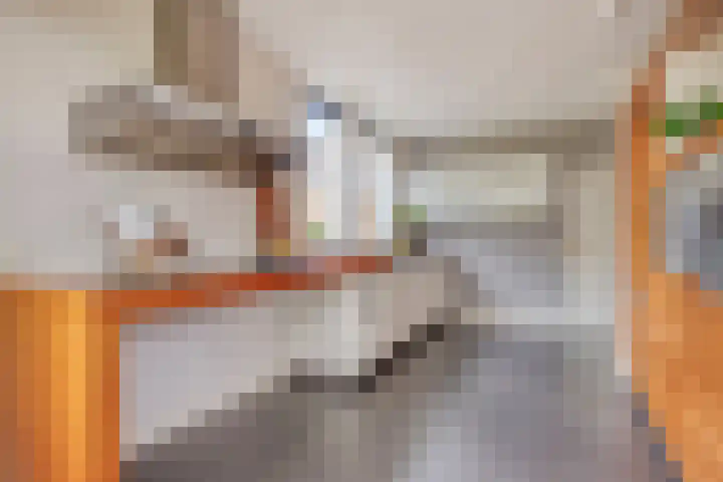 Besselaar 4 Veghel thumbnail 13