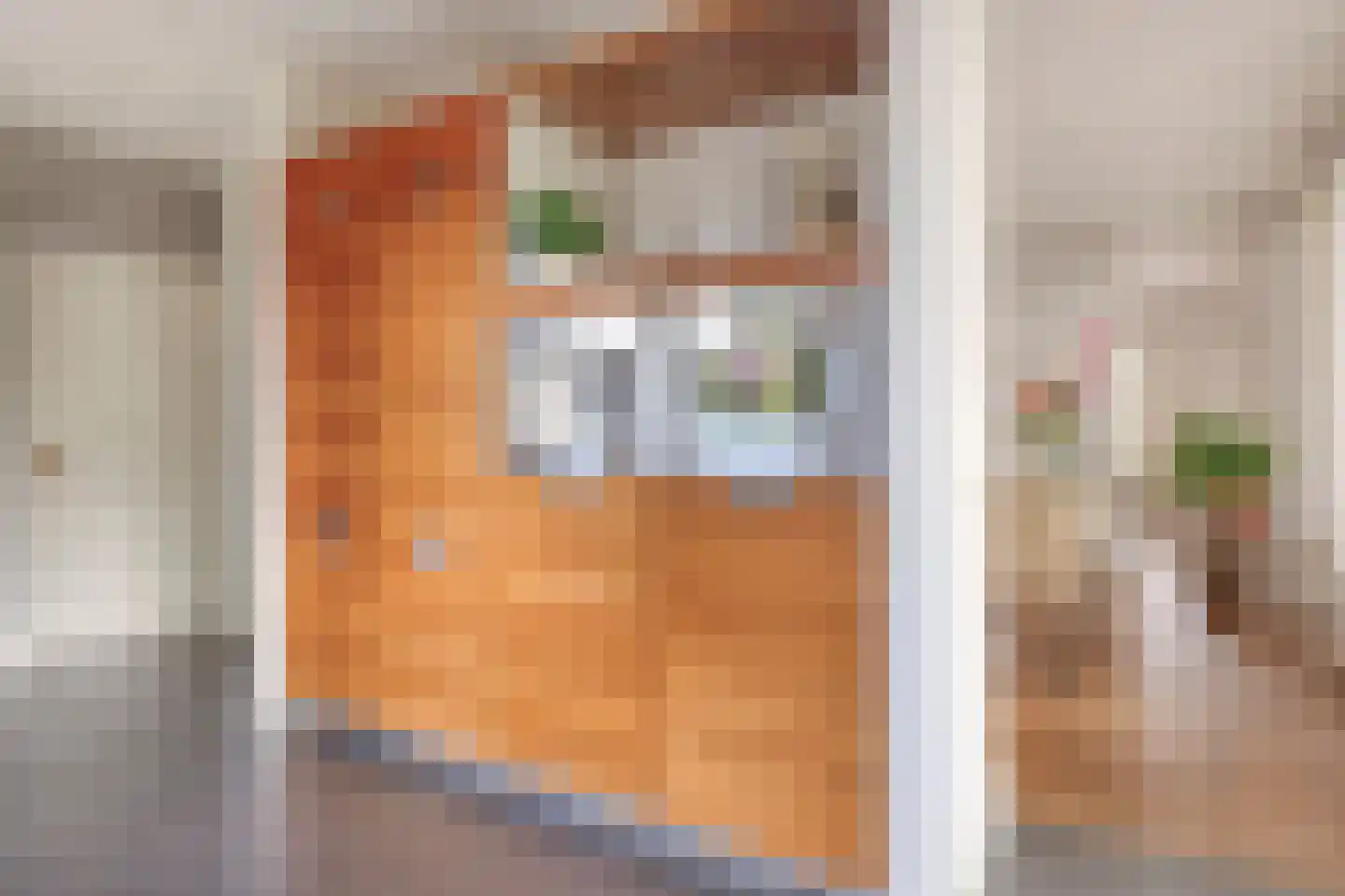 Besselaar 4 Veghel thumbnail 17