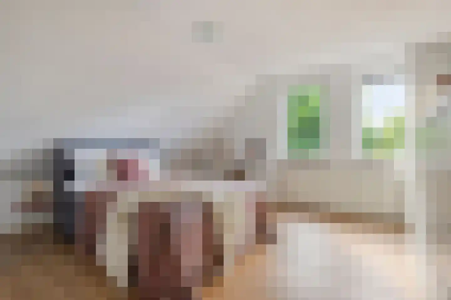 Besselaar 4 Veghel thumbnail 21