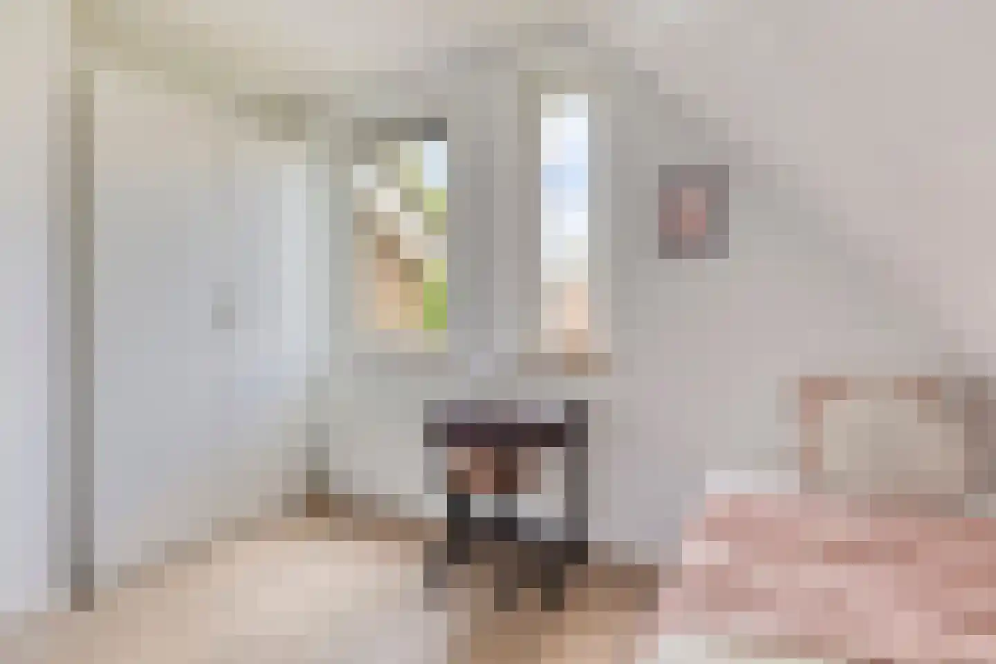 Besselaar 4 Veghel thumbnail 26