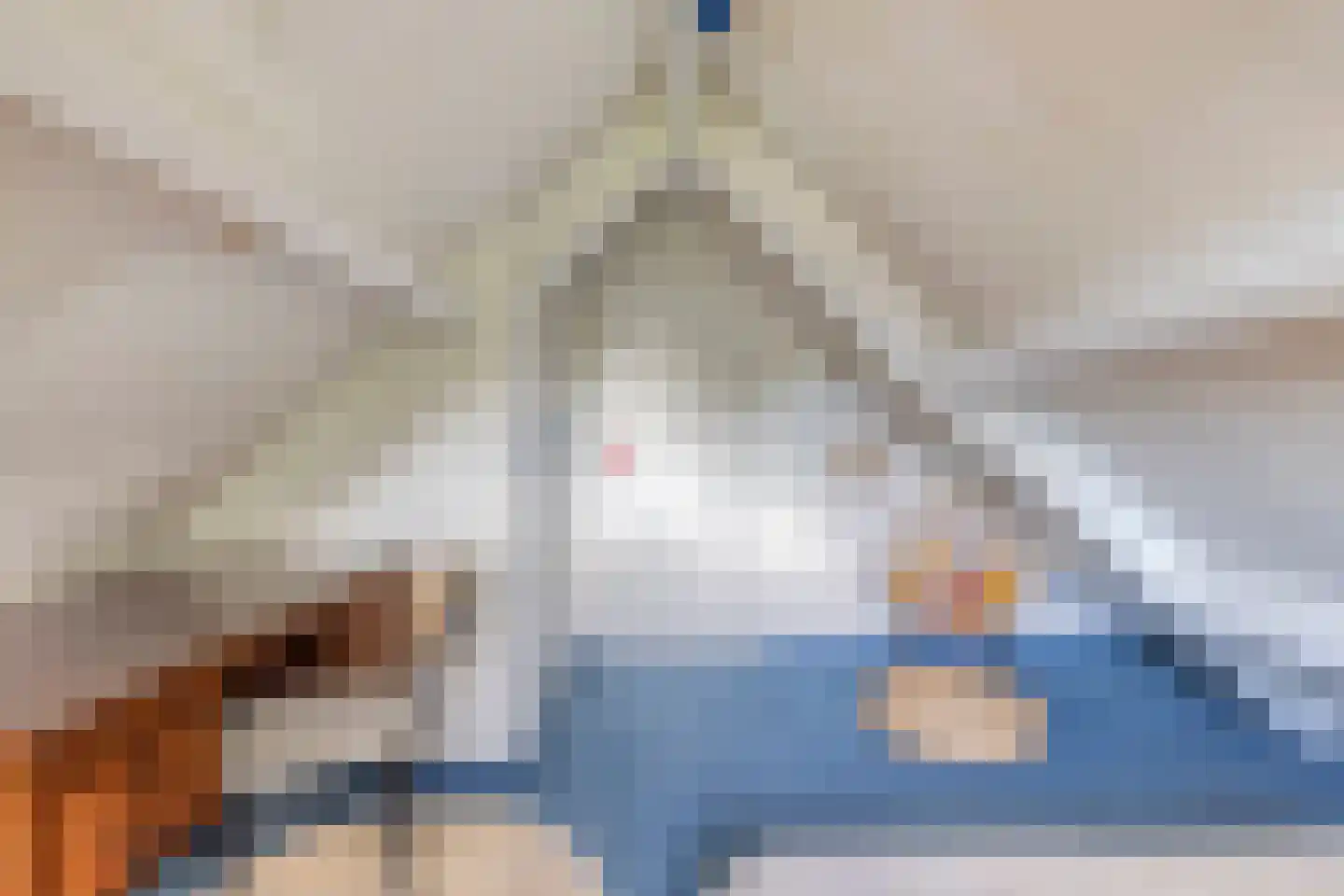 Besselaar 4 Veghel thumbnail 34