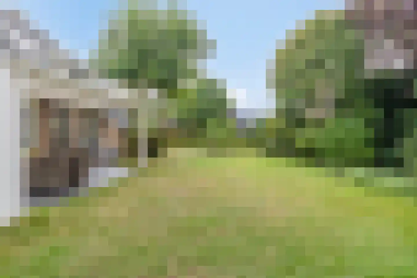 Besselaar 4 Veghel thumbnail 36