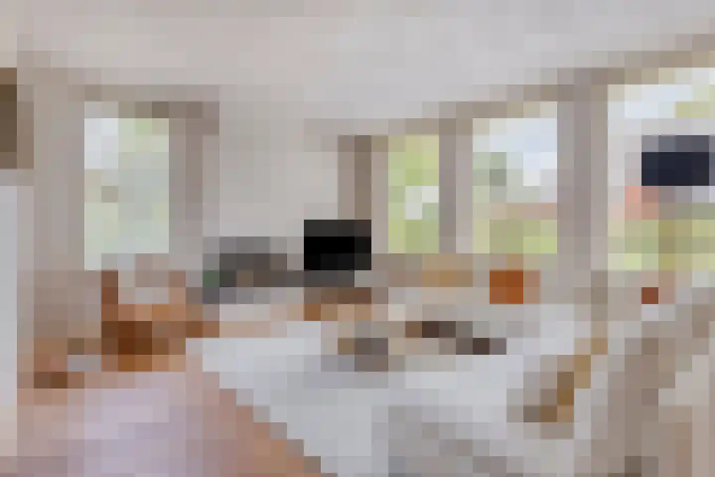 Besselaar 4 Veghel thumbnail 7
