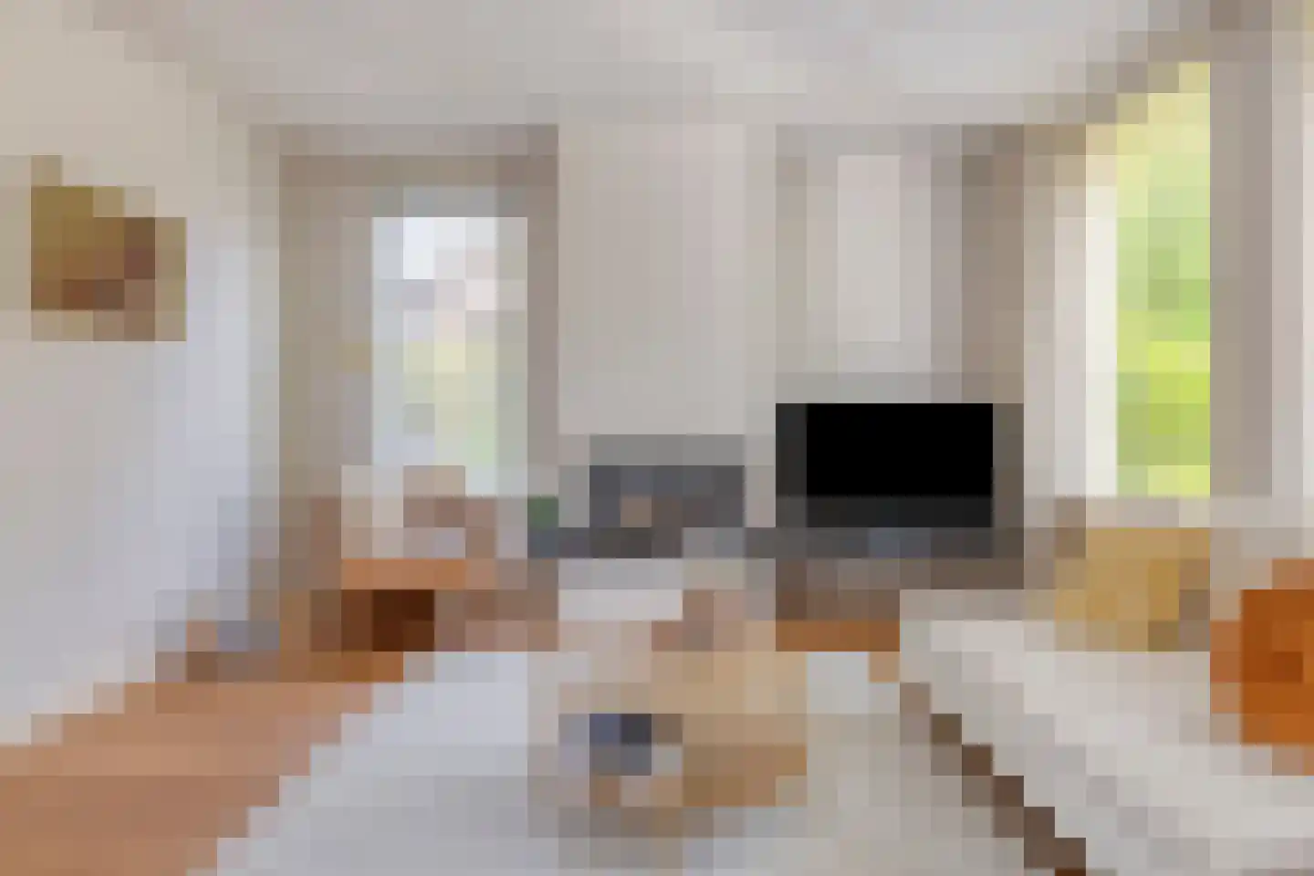 Besselaar 4 Veghel thumbnail 8