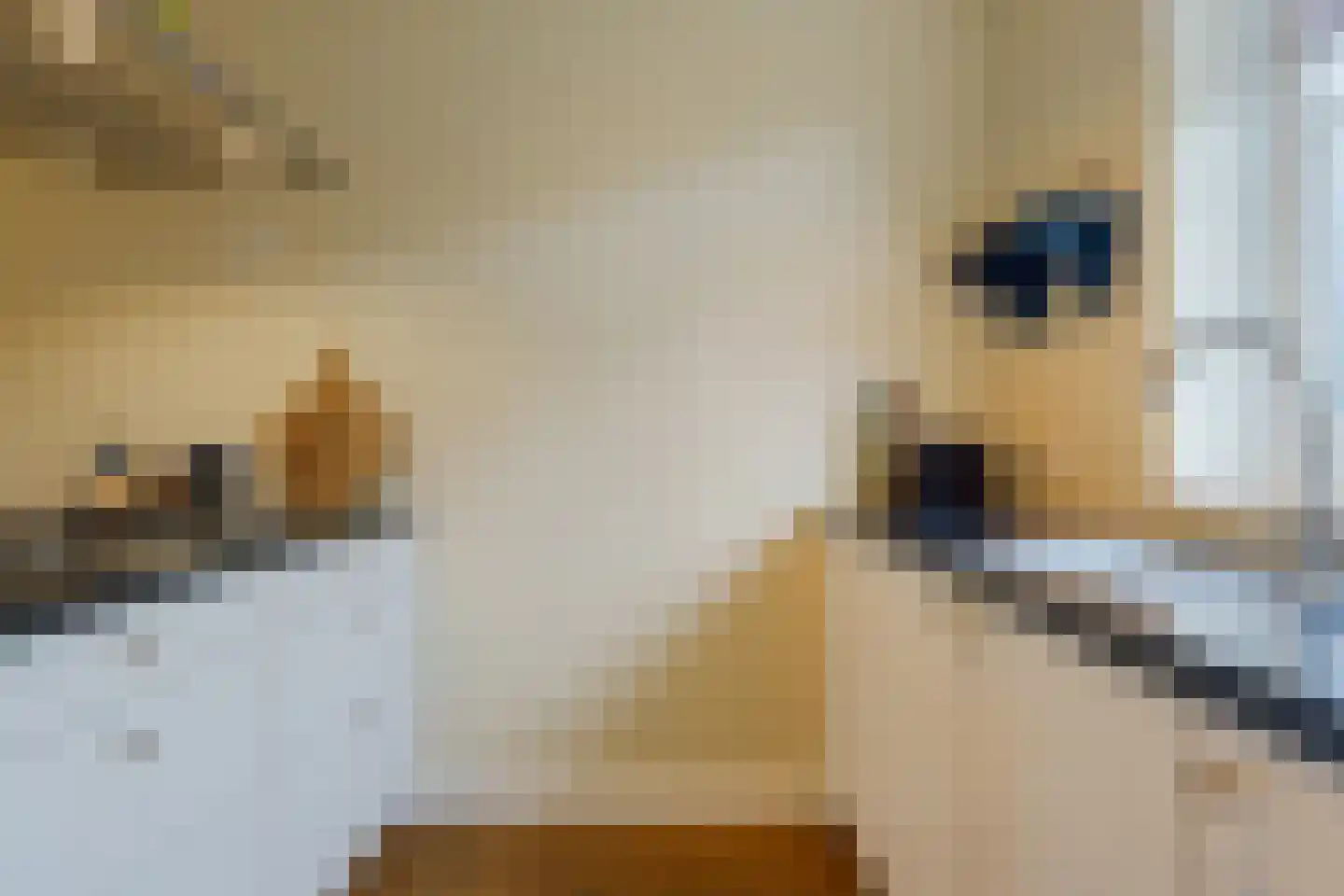 Besselhoeve 2 A Helmond thumbnail 20
