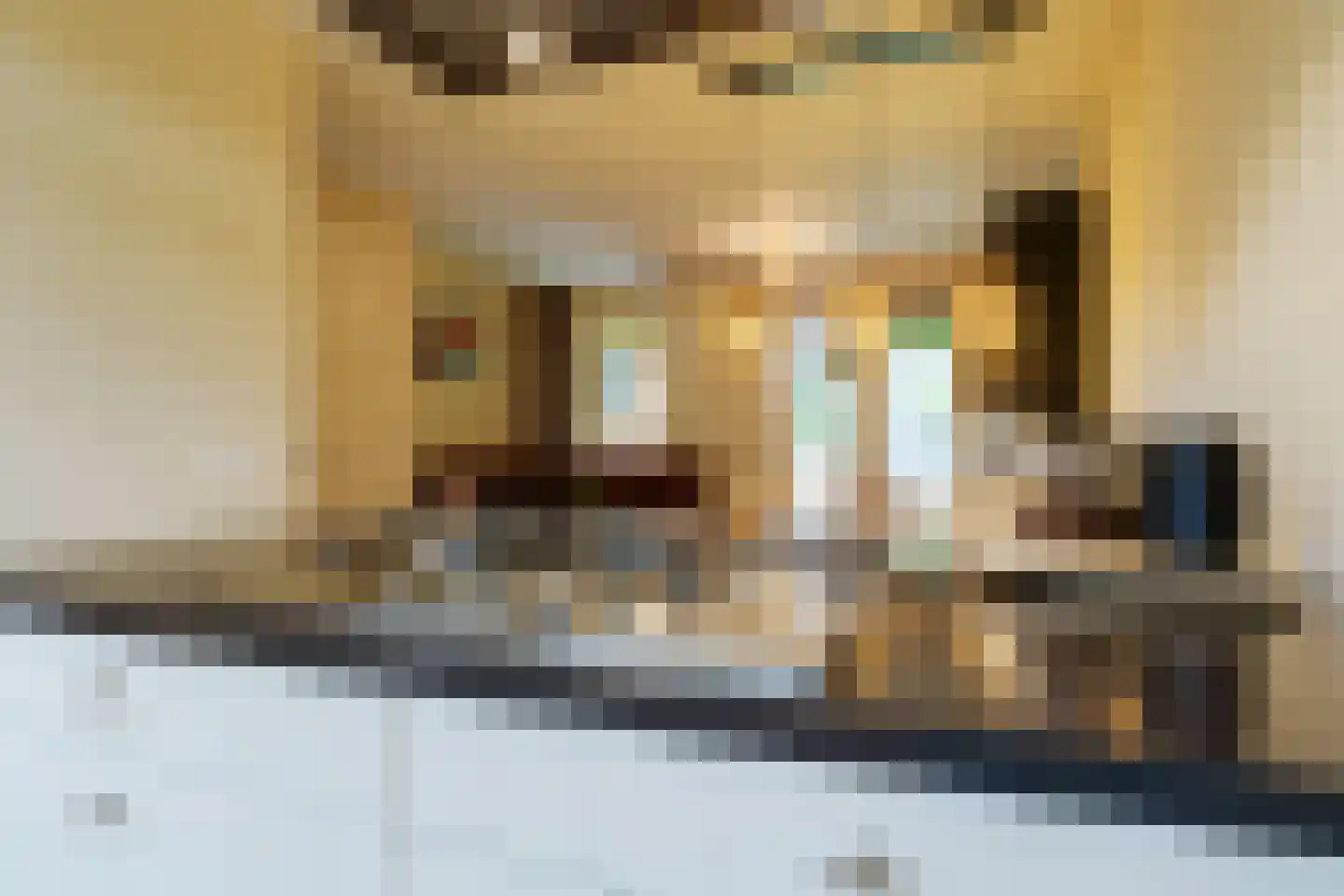 Besselhoeve 2 A Helmond thumbnail 23