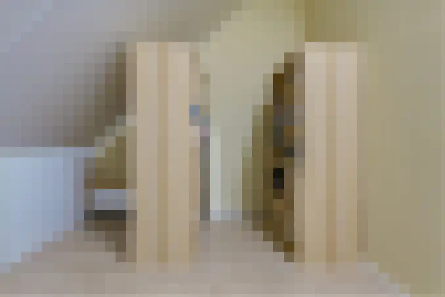 Besselhoeve 2 A Helmond thumbnail 36