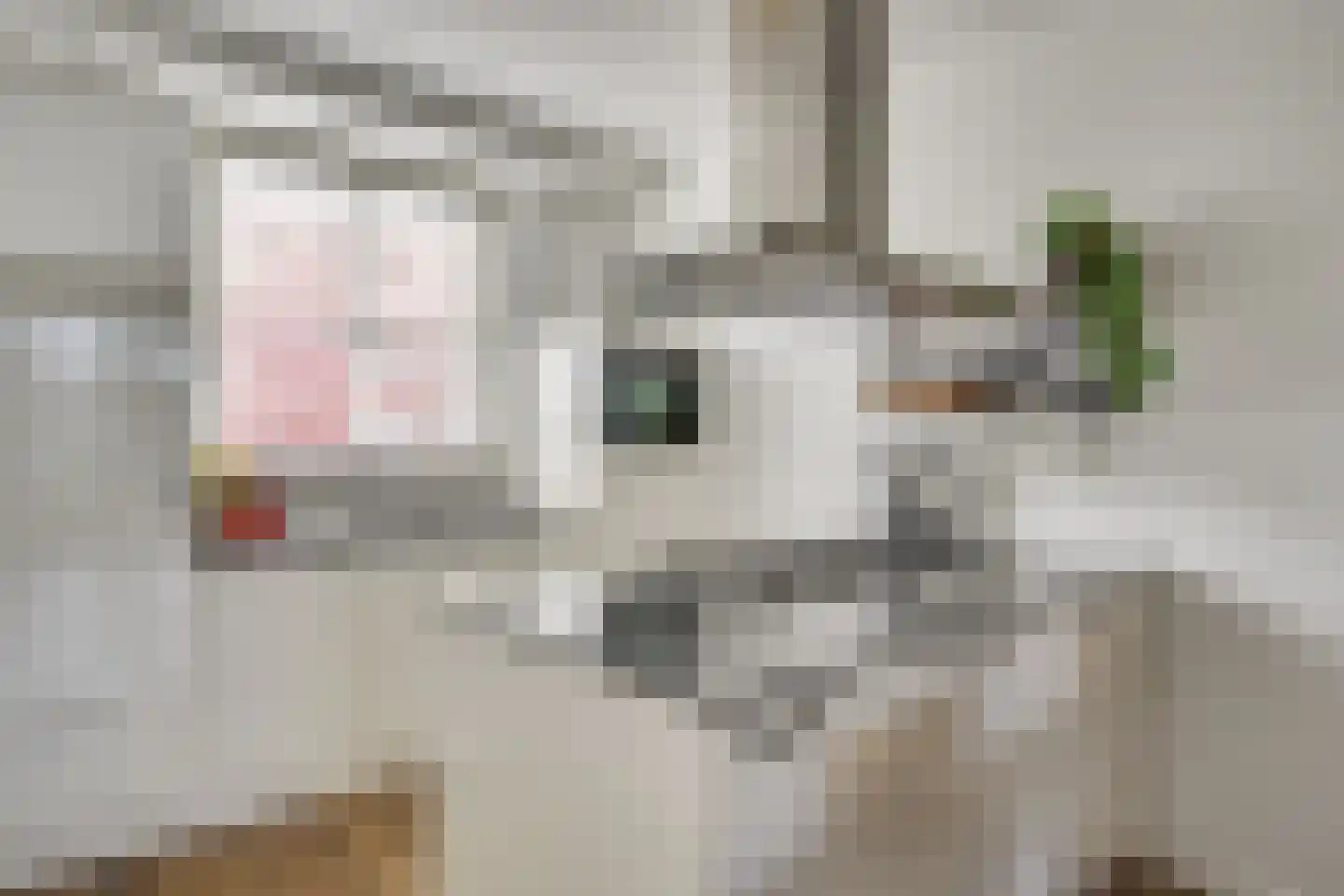 Besselhoeve 2 B Helmond thumbnail 4