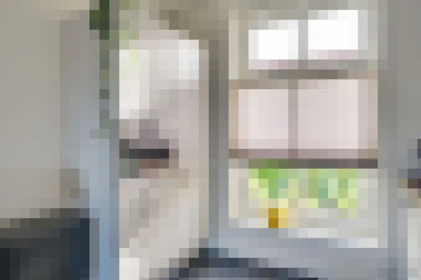 Besselhoeve 2 C Helmond thumbnail 19