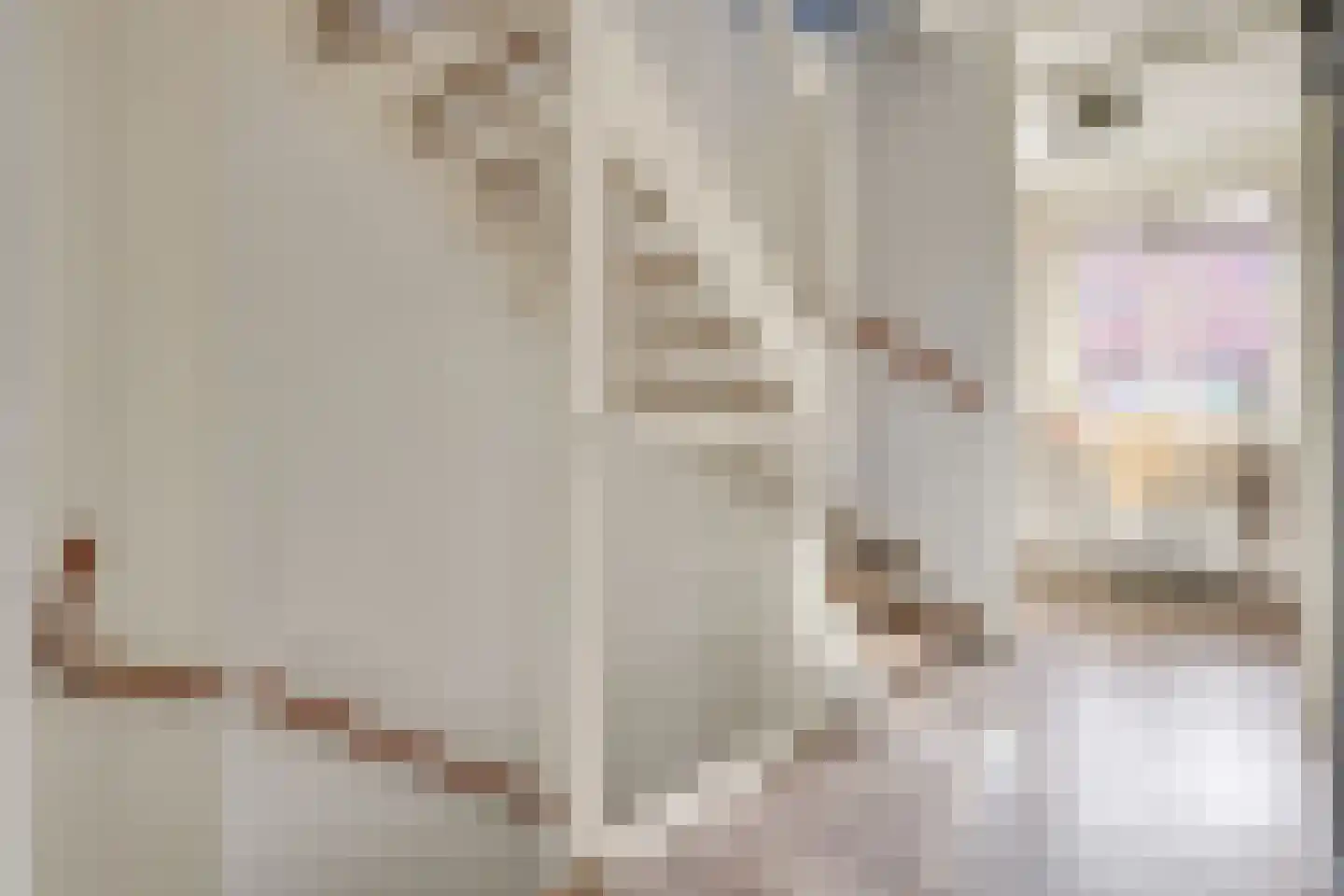 Besselhoeve 2 C Helmond thumbnail 22