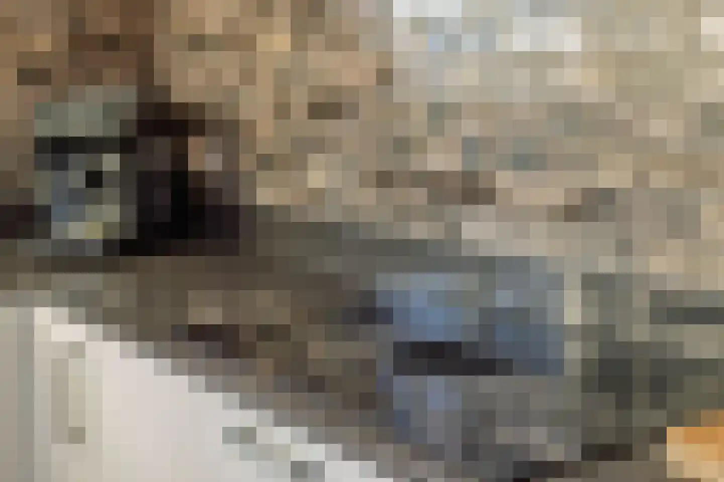 Besselhoeve 2 Helmond thumbnail 15