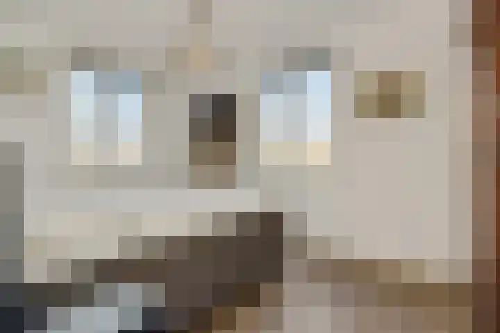Besselhoeve 2 Helmond thumbnail 20